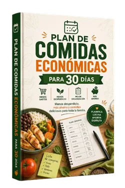 Plan de Comidas Económicas Para 30 Días